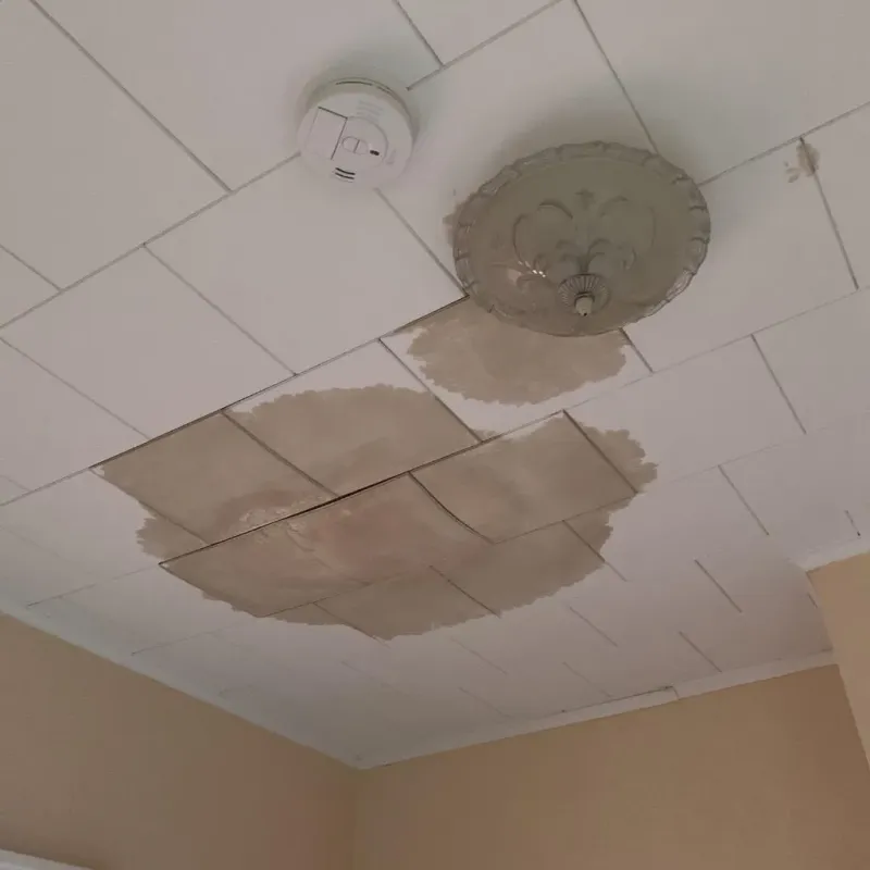 Ceiling Water Damage Repair in West Fork, AR