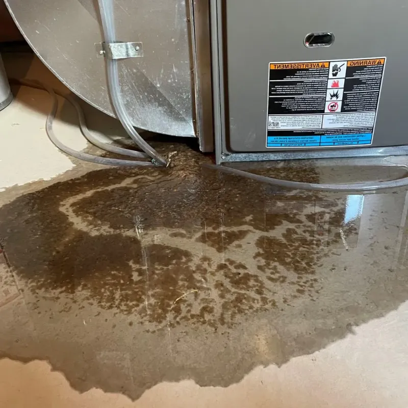 Pipe Burst and Leak Restoration in West Fork, AR