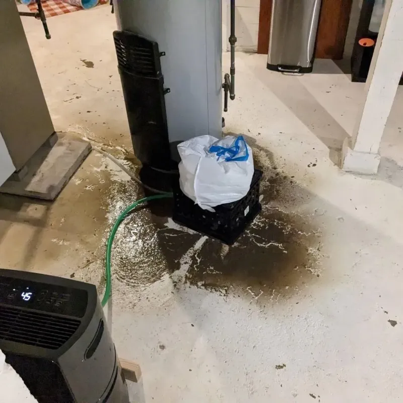 Sewage Backup Cleanup Service in West Fork, AR